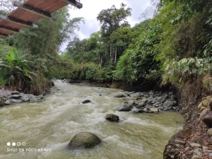 Santo Domingo - Alluriquín – Industria de alimentos Pronaca · fotografía de campo 5