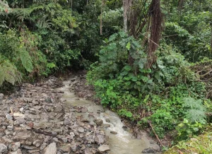 Cumbaratza, Delsintanisagua · fotografía de campo 3
