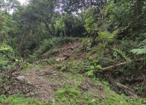 Cumbaratza, Delsintanisagua · fotografía de campo 4
