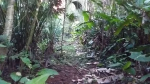 El Chaco · fotografía de campo 2
