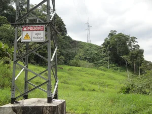 El Chaco · fotografía de campo 3