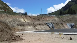 Paluguillo · fotografía de campo 2