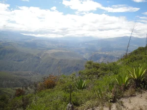 Quito - Carapungo · fotografía de campo 3