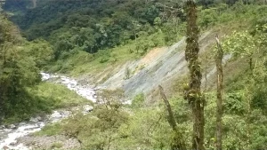 El Chaco · fotografía de campo 4